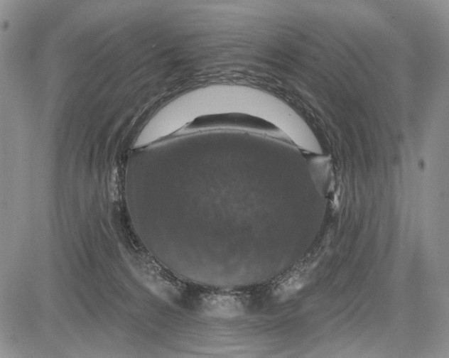 X0000081580224200702051247