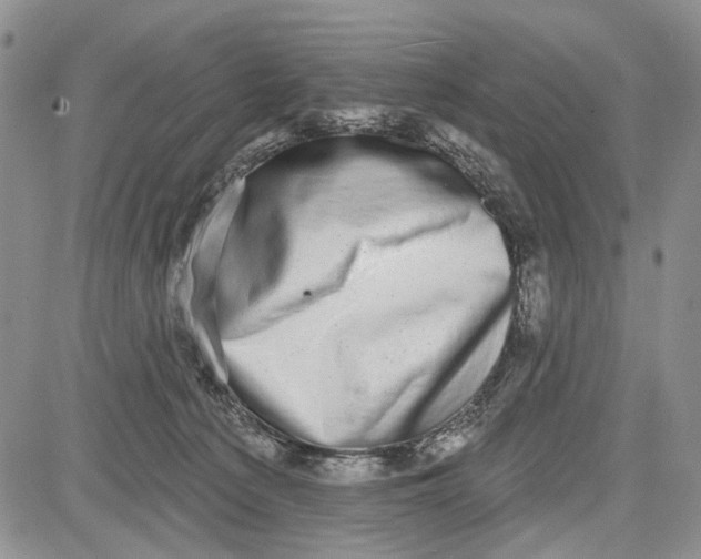 X0000081580225200702051247