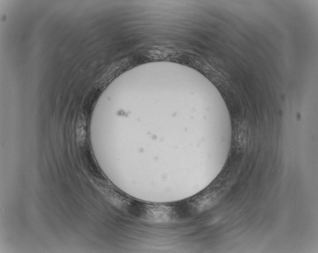 X0000081580226200702051247