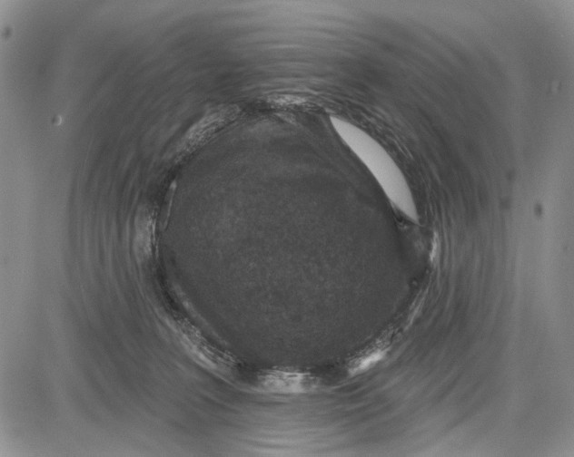 X0000081580227200702051247