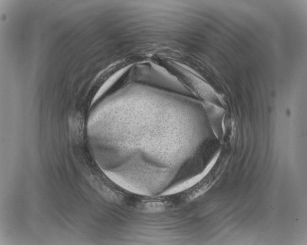 X0000081580228200702051247