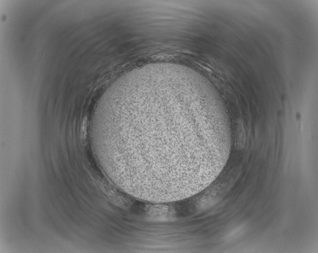 X0000081580230200702051247