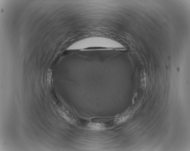 X0000081580231200702051247