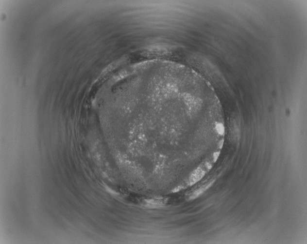 X0000081580232200702051247