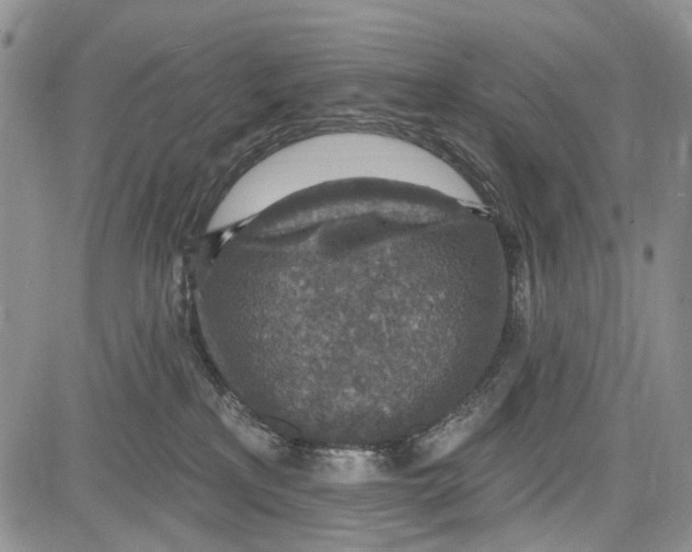 X0000081580233200702051247