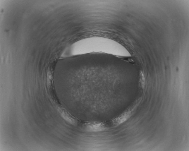 X0000081580235200702051247