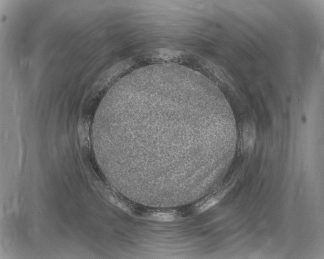 X0000081580236200702051247