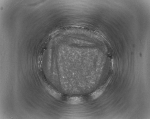 X0000081580237200702051247