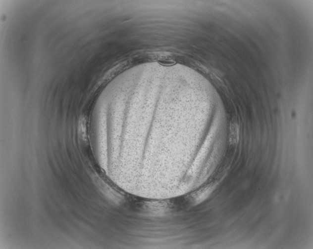 X0000081580238200702051247