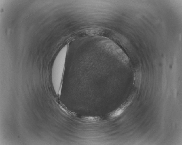 X0000081580239200702051247