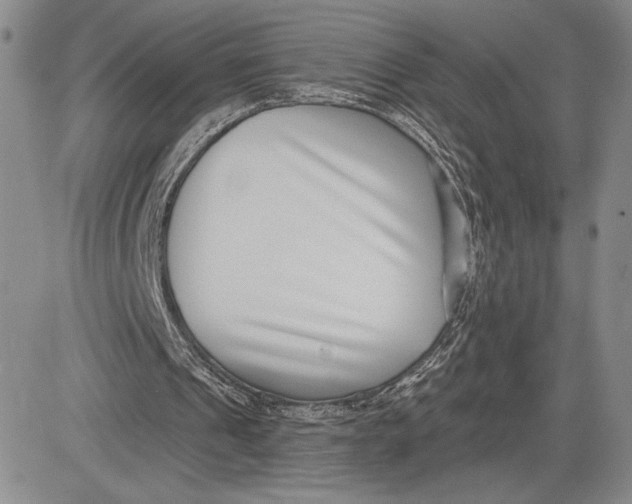 X0000081580241200702051246