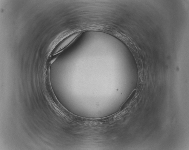 X0000081580242200702051246