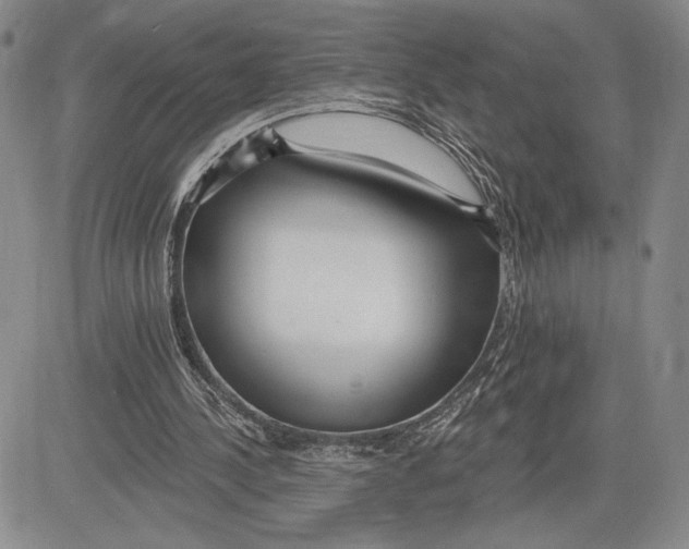 X0000081580244200702051246