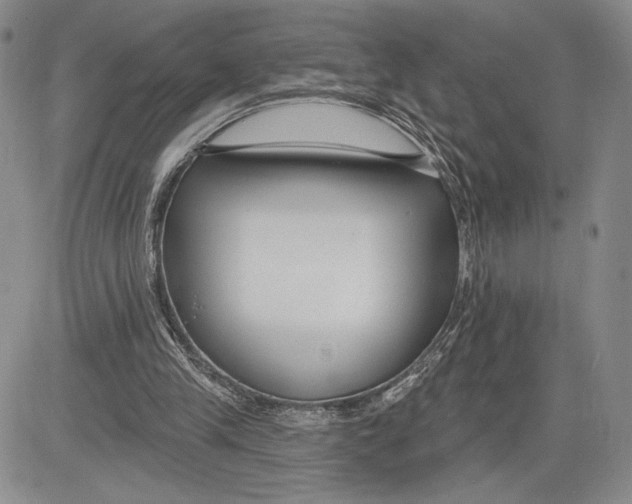 X0000081580245200702051246