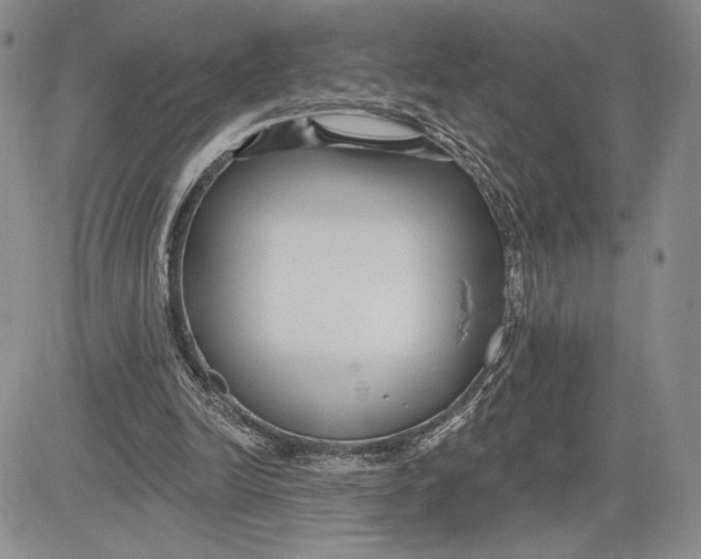 X0000081580246200702051246