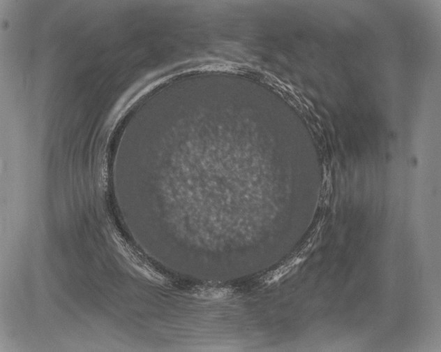 X0000081580247200702051246