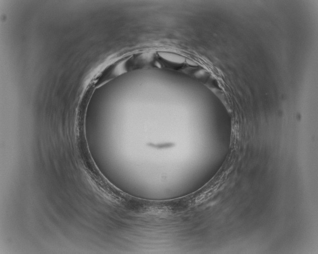 X0000081580248200702051246