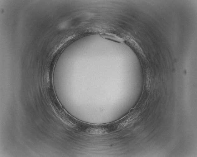 X0000081580251200702051246