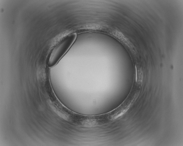 X0000081580252200702051246