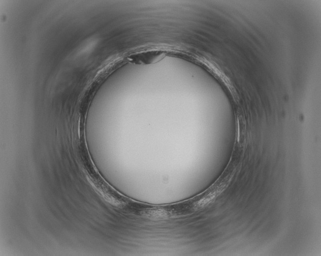 X0000081580253200702051246