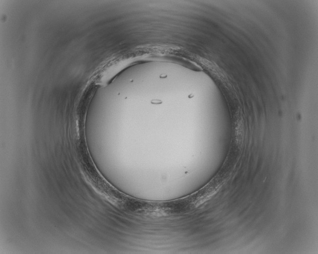 X0000081580254200702051246