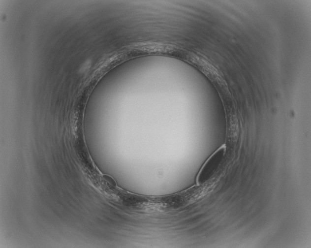 X0000081580255200702051246