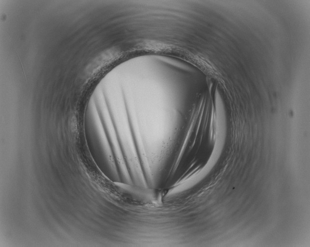 X0000081580256200702051246