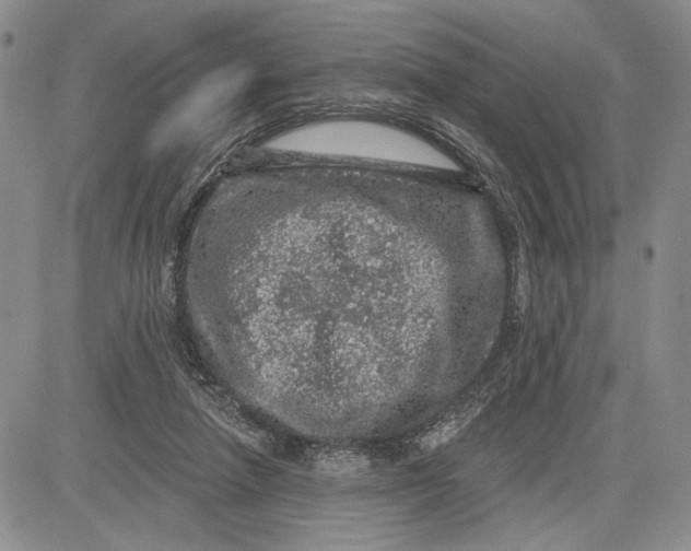 X0000081580258200702051246