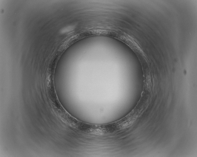 X0000081580259200702051246