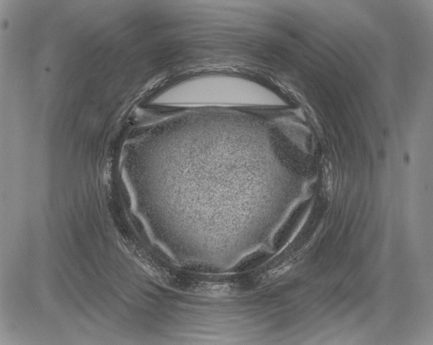 X0000081580260200702051246