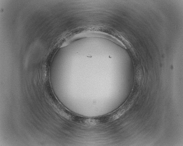 X0000081580261200702051246