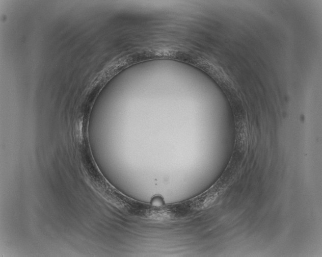 X0000081580262200702051246