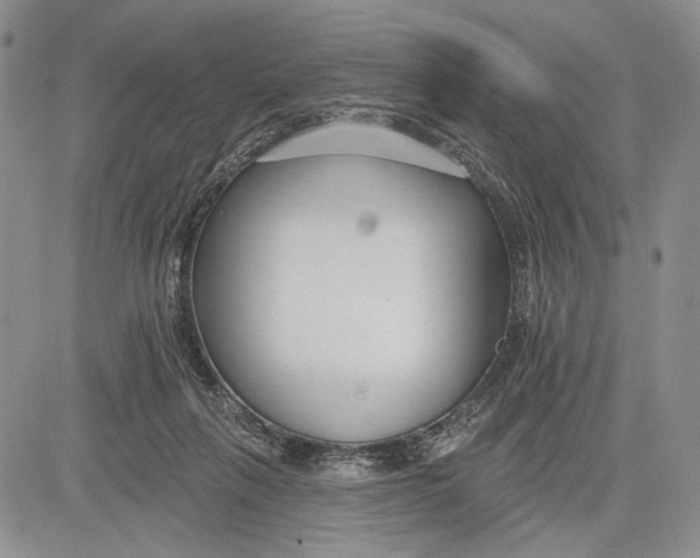 X0000081580263200702051246