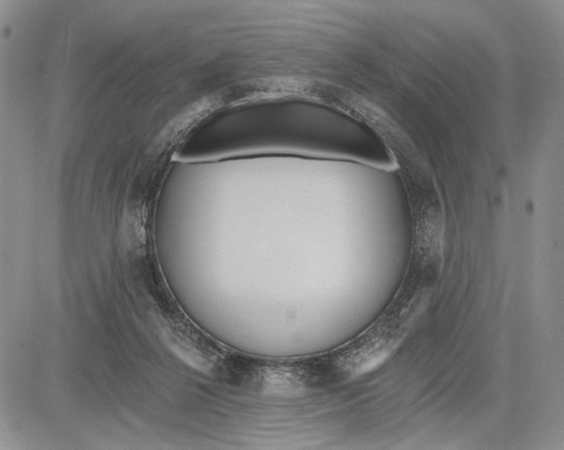 X0000081580264200702051246