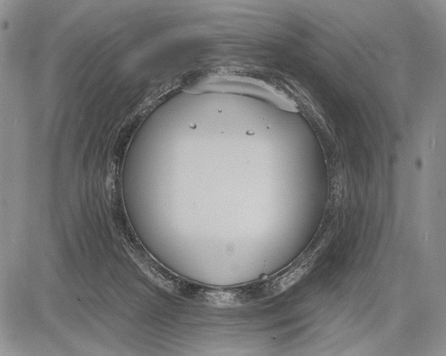 X0000081580265200702051246