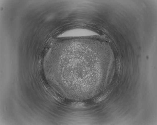 X0000081580266200702051246