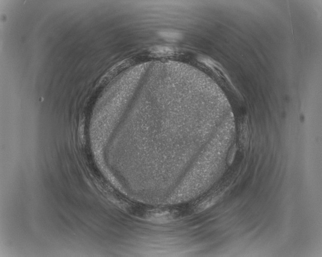 X0000081580267200702051246