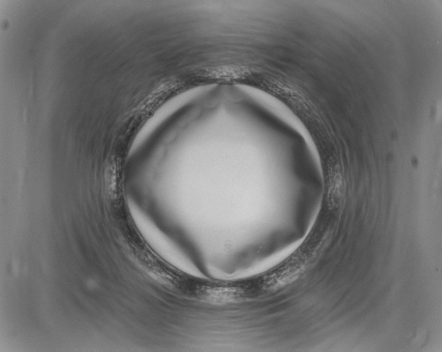 X0000081580268200702051246