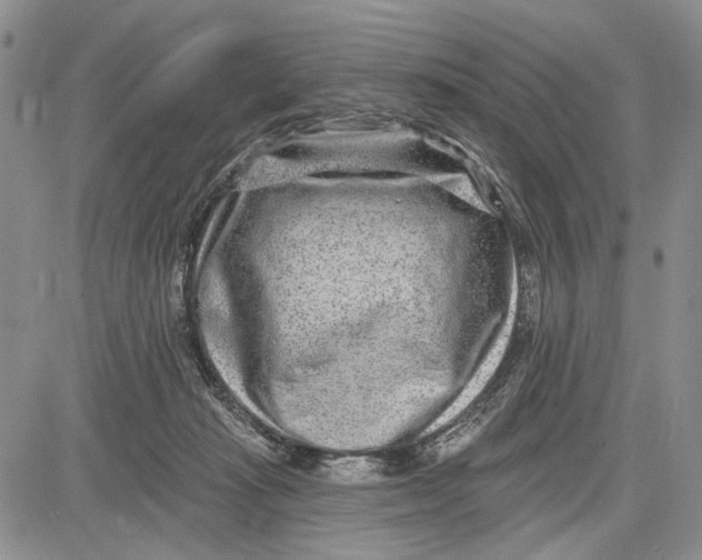 X0000081580269200702051246