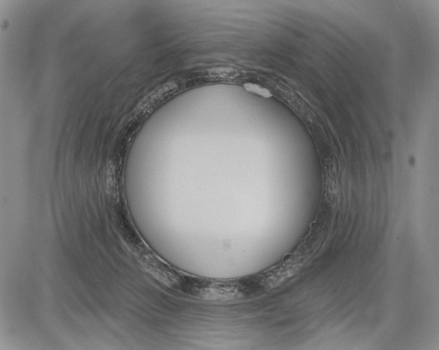 X0000081580270200702051246