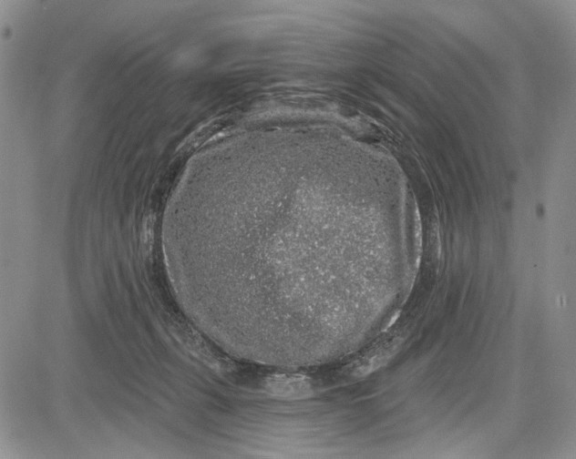 X0000081580271200702051246