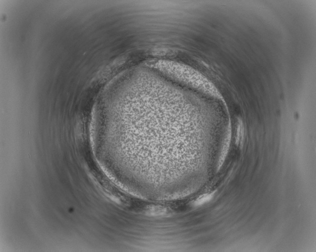 X0000081580272200702051246