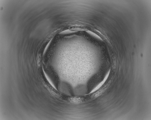 X0000081580273200702051247