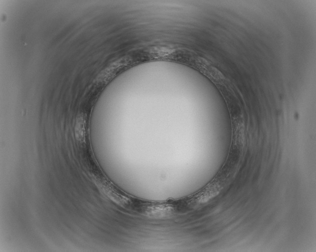 X0000081580274200702051247