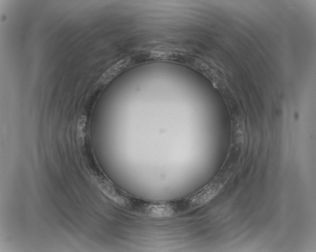 X0000081580275200702051247