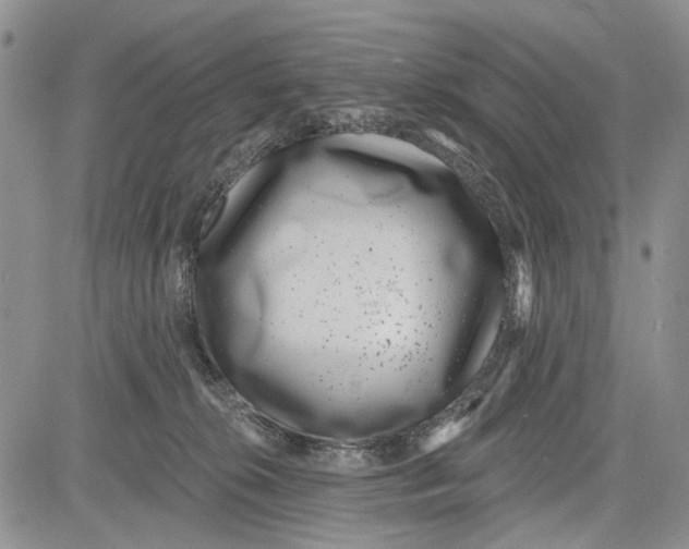 X0000081580276200702051247