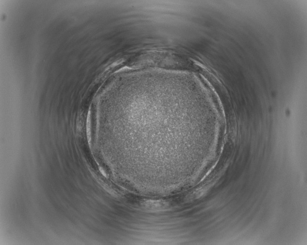 X0000081580277200702051247