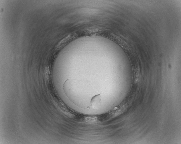 X0000081580279200702051247