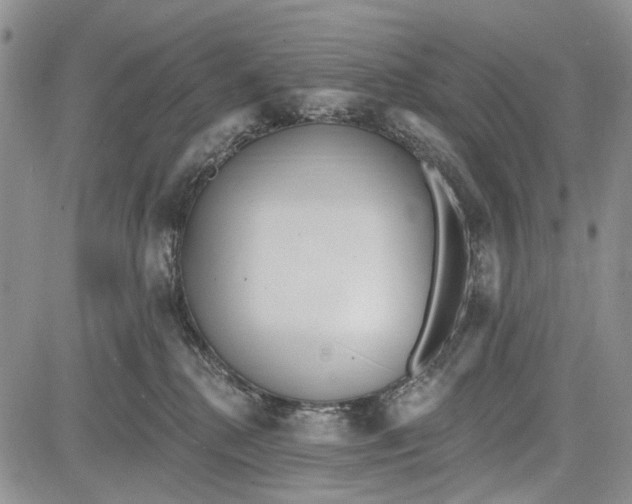 X0000081580280200702051247