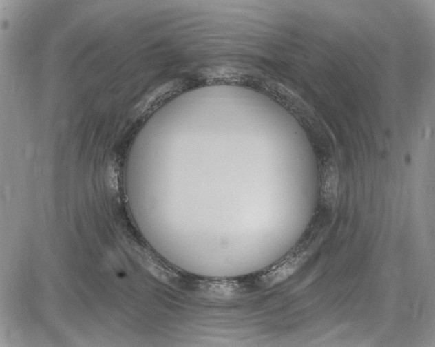 X0000081580282200702051247